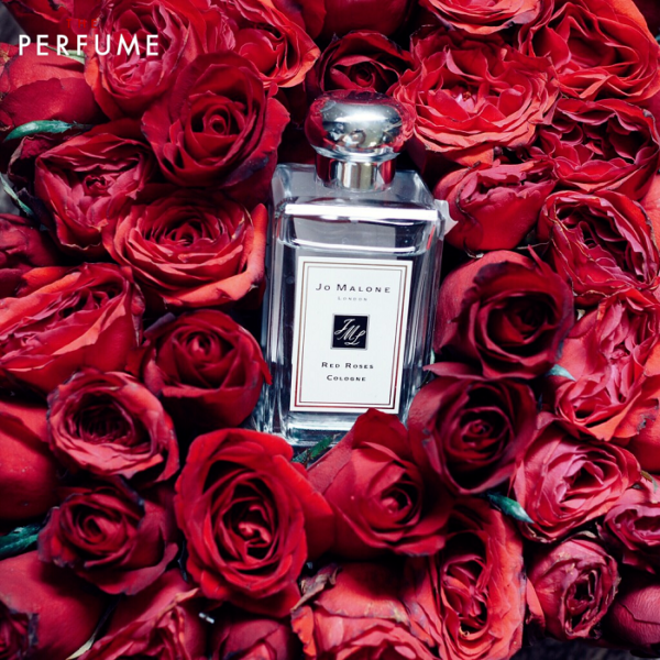 Nước hoa Jo Malone Red Rose Eau De Cologone 100ml - Ảnh 3