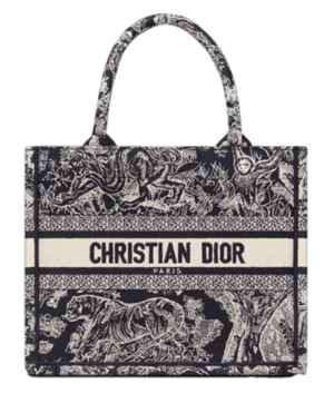Tui Dior Book Tote Small 'Blue Reverse Embroidery' M1265ZRGO-M928