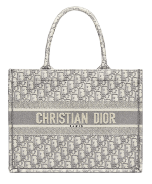 Tui Dior Book Tote Medium 'Gray Embroidery' M1296ZRIW-M932