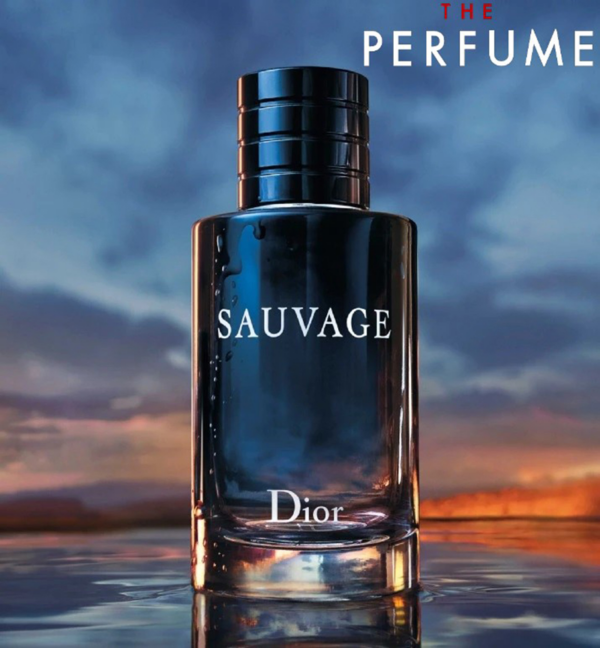 Nước Hoa Dior Sauvage Eau De Toilette - Ảnh 5