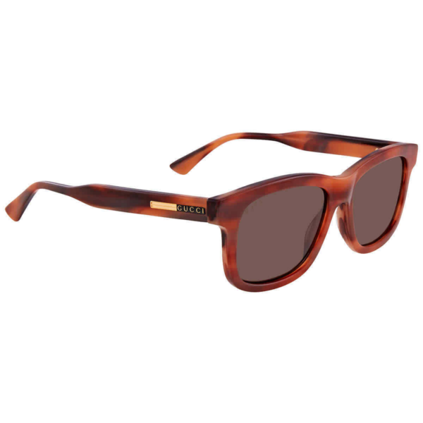 Kính Gucci Sunglasses 'Brown' GG0824S-007-55 - Ảnh 2