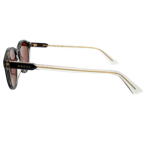 Kính Gucci Oval Men's Sunglasses 'Brown' GG1119S-003-52 - Ảnh 2