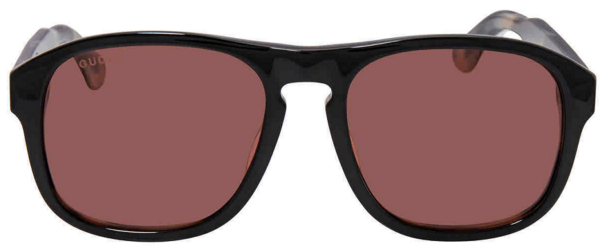 Kính Gucci Brown Square 'Black' GG0583S-004-55