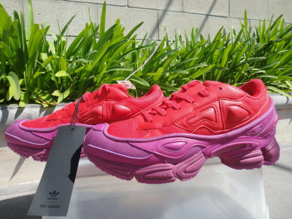 Giày Adidas Raf Simons x Ozweego 'Glory' F34265 - Ảnh 2