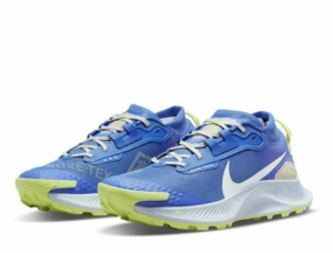Giay Nike Pegasus Trail 3 Gore Tex 'Blue' DC8794-400