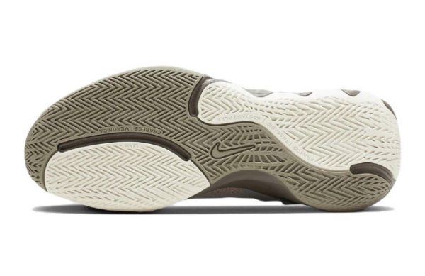 Giày Nike Giannis Immortality 2 EP 'Cobblestone' DM0826-003 - Ảnh 7