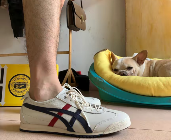 Giày Onitsuka Tiger Mexico 66 SD 1183A872-101 - Ảnh 5