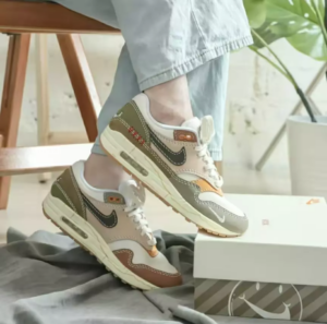 Giay Nike Air Max 1 Premium 'Wabi Sabi' DQ8656-133