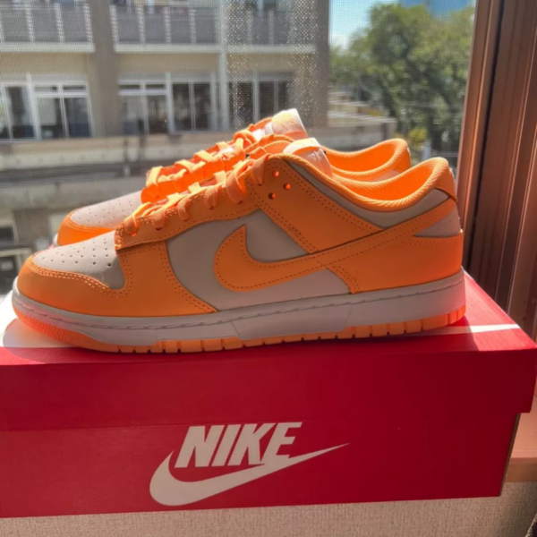 Giày Nike Dunk Low 'Peach Cream' DD1503-801 - Ảnh 2