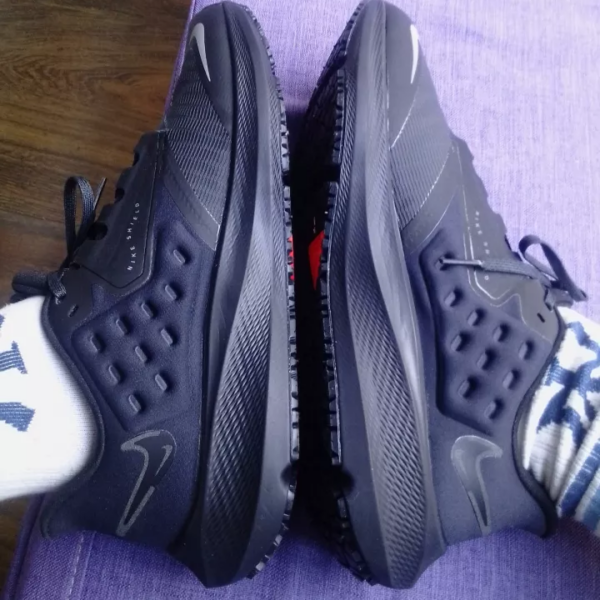 Giày Nike Air Zoom Pegasus 39 Shield 'Black Off Noir' DO7625-001 - Ảnh 4