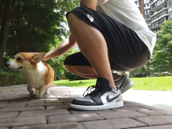 Giay Nike Air Jordan 1 Retro Low 'Atmosphere' 553558-110