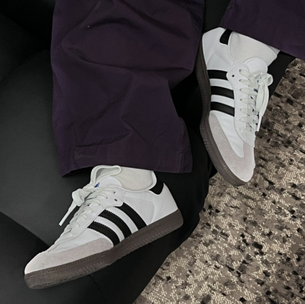 Giày Adidas Originals Samba Adv 'White' GZ8477 - Ảnh 2