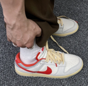 Giay Nike Air Dunk '85 Athletic Department' FJ5429-133