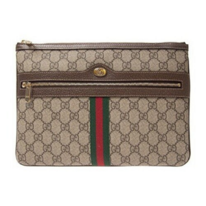 Túi Gucci Ophidia GG Supreme Pouch 17551 96IWS 8745