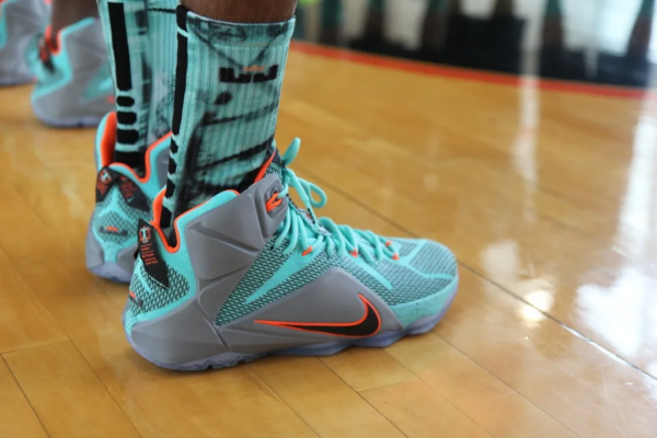 Giày Nike LeBron 12 'NSRL' 684593-301 - Ảnh 2