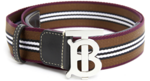 That Lung Burberry Icon Stripe Webbing 'Brown' 8062908