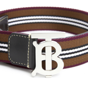 That Lung Burberry Icon Stripe Webbing 'Brown' 8062908