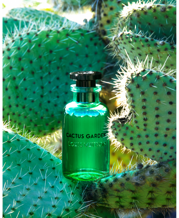 Nước Hoa Unisex Louis Vuitton Cactus Garden EDP 100ml - Ảnh 2