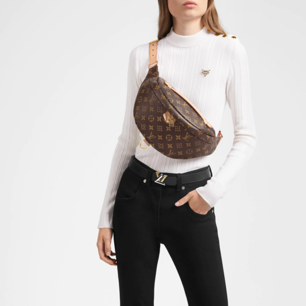 Túi Louis Vuitton Monogram Canvas Bumbag M43644 - Ảnh 2