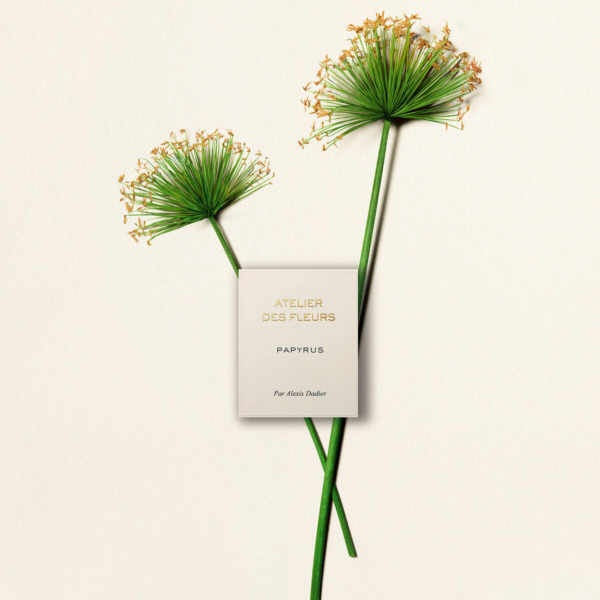 Nước Hoa Chloe Atelier Des Fleurs Papyrus EDP - Ảnh 2