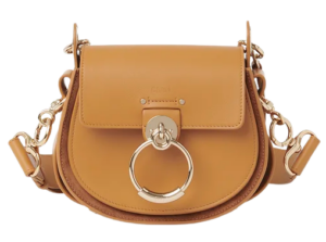 Túi Chloe Tess Small Purse In Shiny & Suede Calfskin CHC21-WS153F27-211