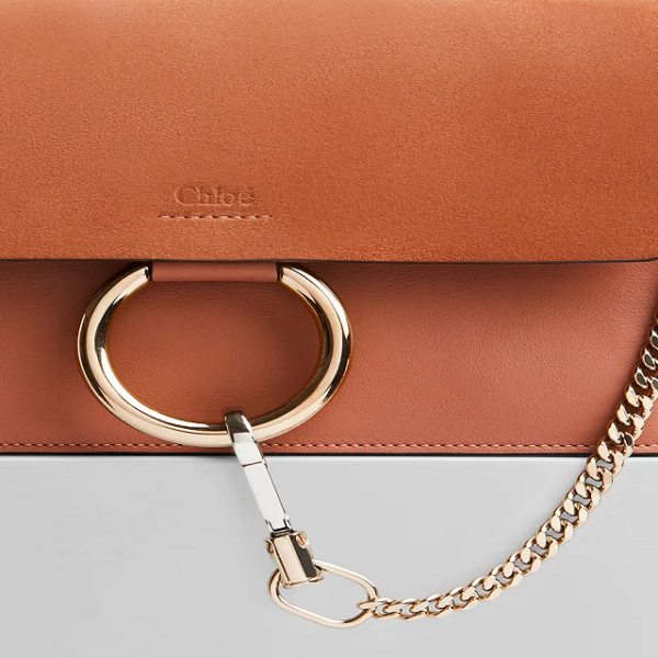 Túi Chloe Faye Small Shoulder Bag in Muted Brown CHC21SS127A3726B - Ảnh 4