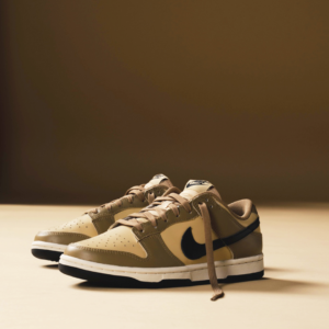 Giay Nike Dunk Low 'Dark Driftwood' DD1503-200