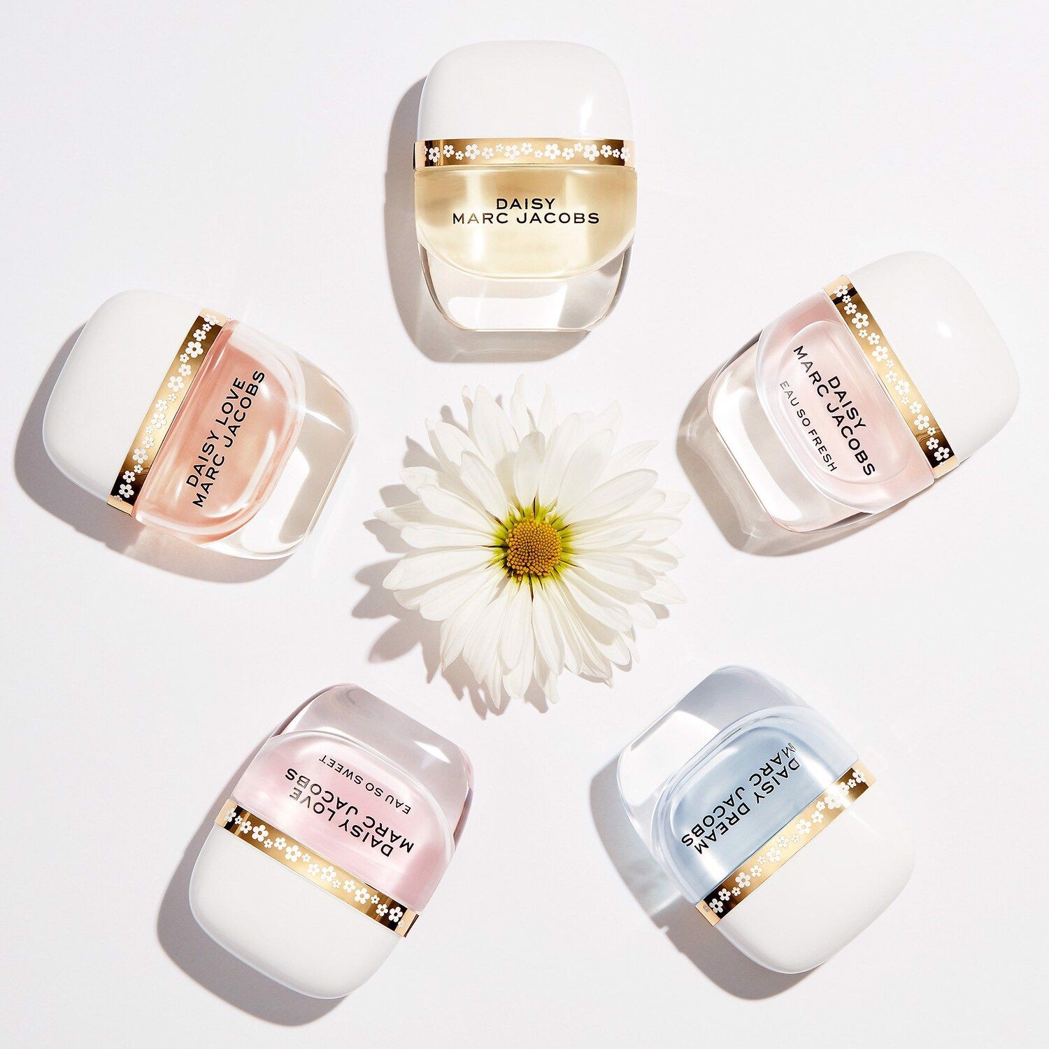 Những thương hiệu nước hoa hàng đầu đến từ xứ sở cờ hoa Hinh anh 4: Nhung thuong hieu nuoc hoa hang dau den tu xu so co hoa