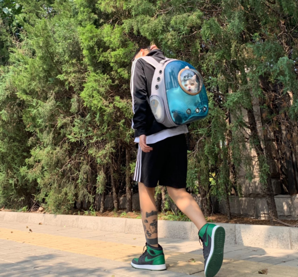Giày Nike Air Jordan 1 Retro High OG GS 'Pine Green 2.0' 575441-030 - Ảnh 4
