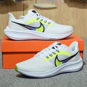 Giay Nike Pegasus 39 'Summit White Blue' DX1627-100
