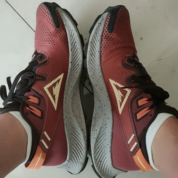 Giày Nike Pegasus Trail 2 Claystone Red CK4305-600 - Ảnh 5