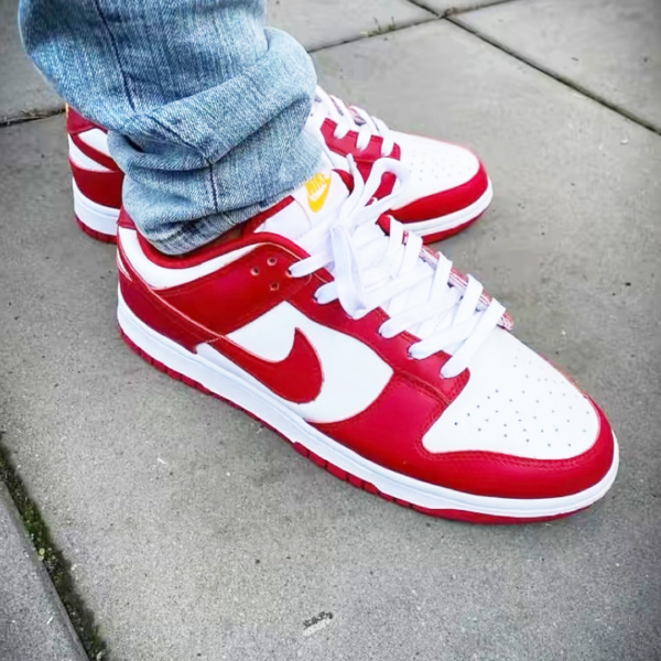 Giày Nike Dunk Low Retro 'Gym Red' DD1391-602 - Ảnh 3