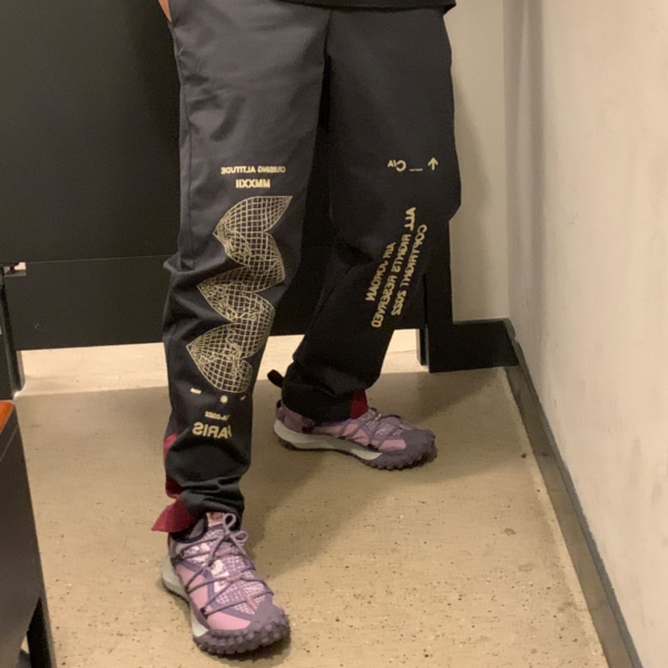 Giày Nike ACG Mountain Fly Low SE 'Canyon Purple' DQ1979-500 - Ảnh 2