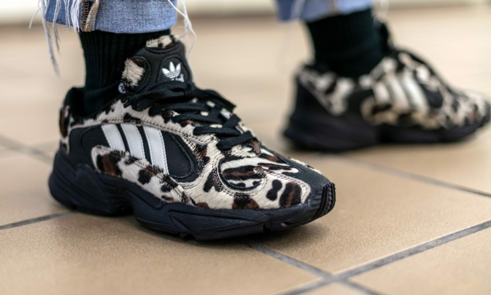 tro-ve-the-gioi-dong-vat-hoang-da-cung-adidas-yung-1