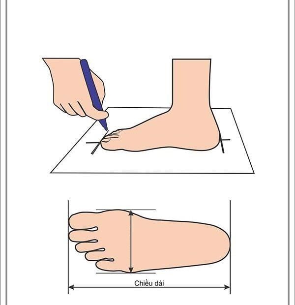 huong-dan-chon-size-giay-puma-chinh-xac