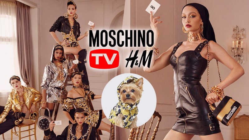Lịch sử Moschino - chú gấu "ngỗ ngược" đến từ Ý Hinh anh 10: Lich su Moschino - chu gau "ngo nguoc" den tu Y