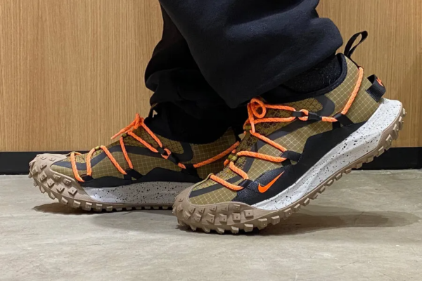 Giày Nike ACG Mountain Fly Low Gore-Tex SE Hazel Rush DD2861-200 - Ảnh 3