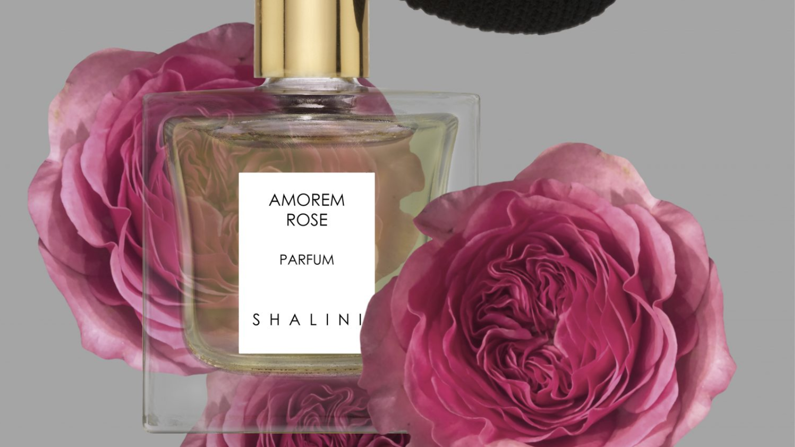 15 hương nước hoa lý tưởng cho mùa thu 2022 (Phần 2) Hinh anh 4: 15 huong nuoc hoa ly tuong cho mua thu 2022 (Phan 2)