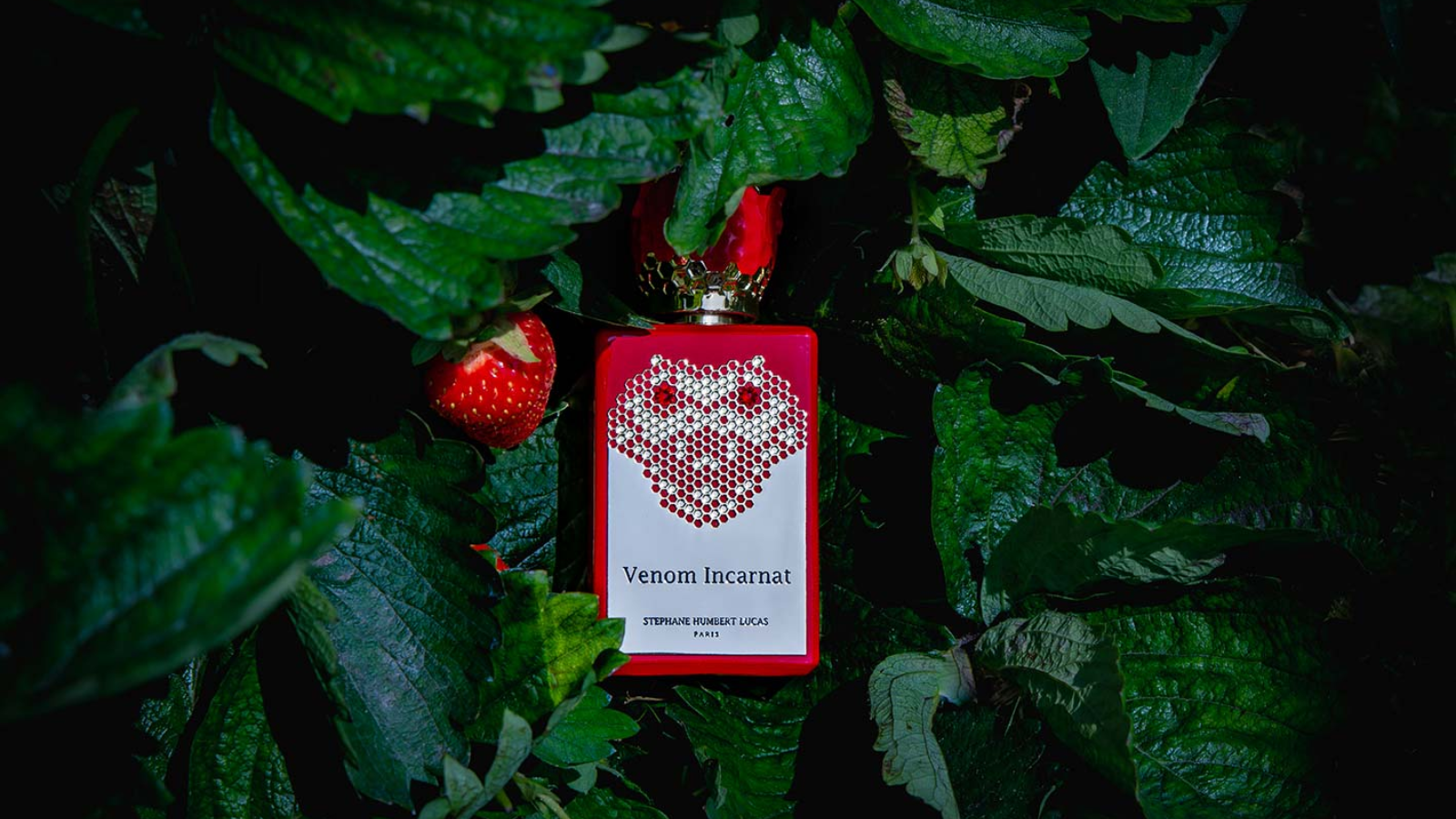 15 hương nước hoa lý tưởng cho mùa thu 2022 (Phần 2) Hinh anh 8: 15 huong nuoc hoa ly tuong cho mua thu 2022 (Phan 2)