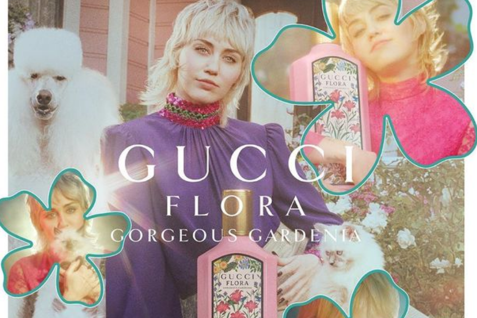 giai-dap-y-nghia-phia-sau-nhung-hoa-tiet-cua-gucci