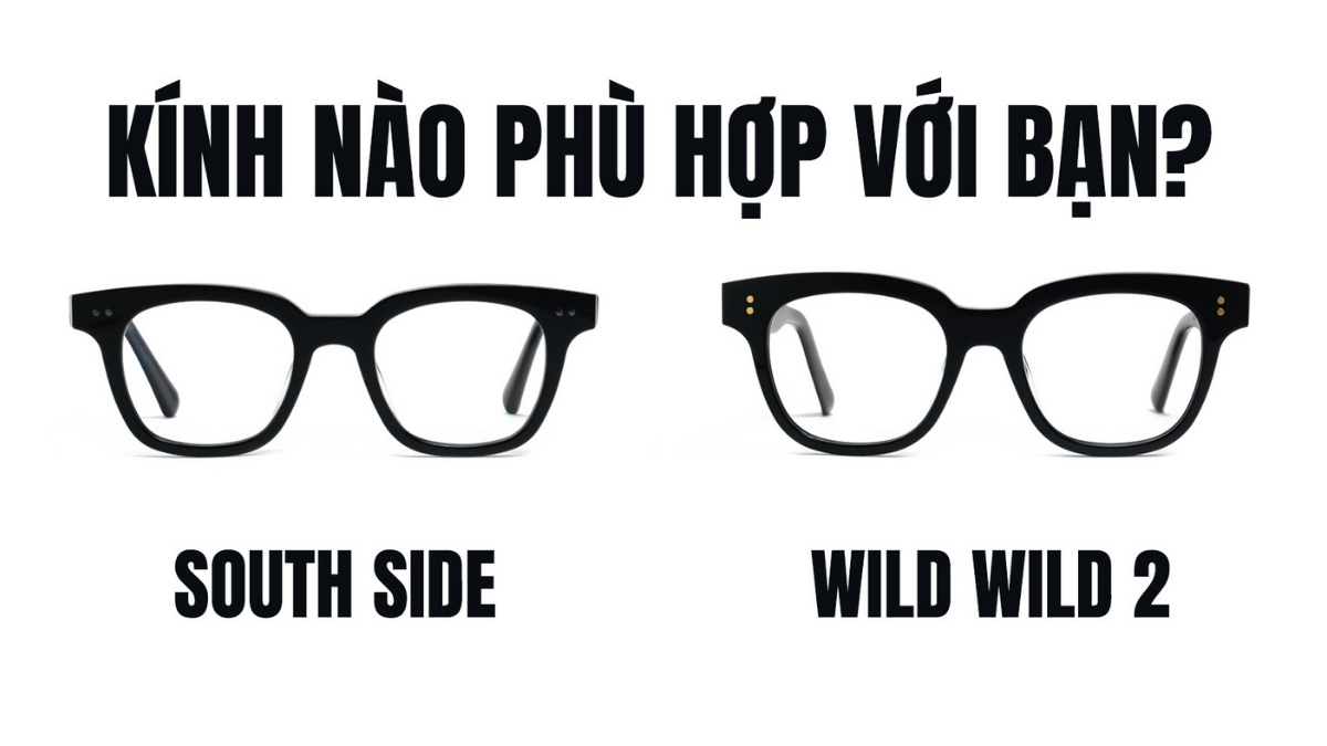 so-sanh-kinh-gentle-monster-south-side-voi-wild-wild