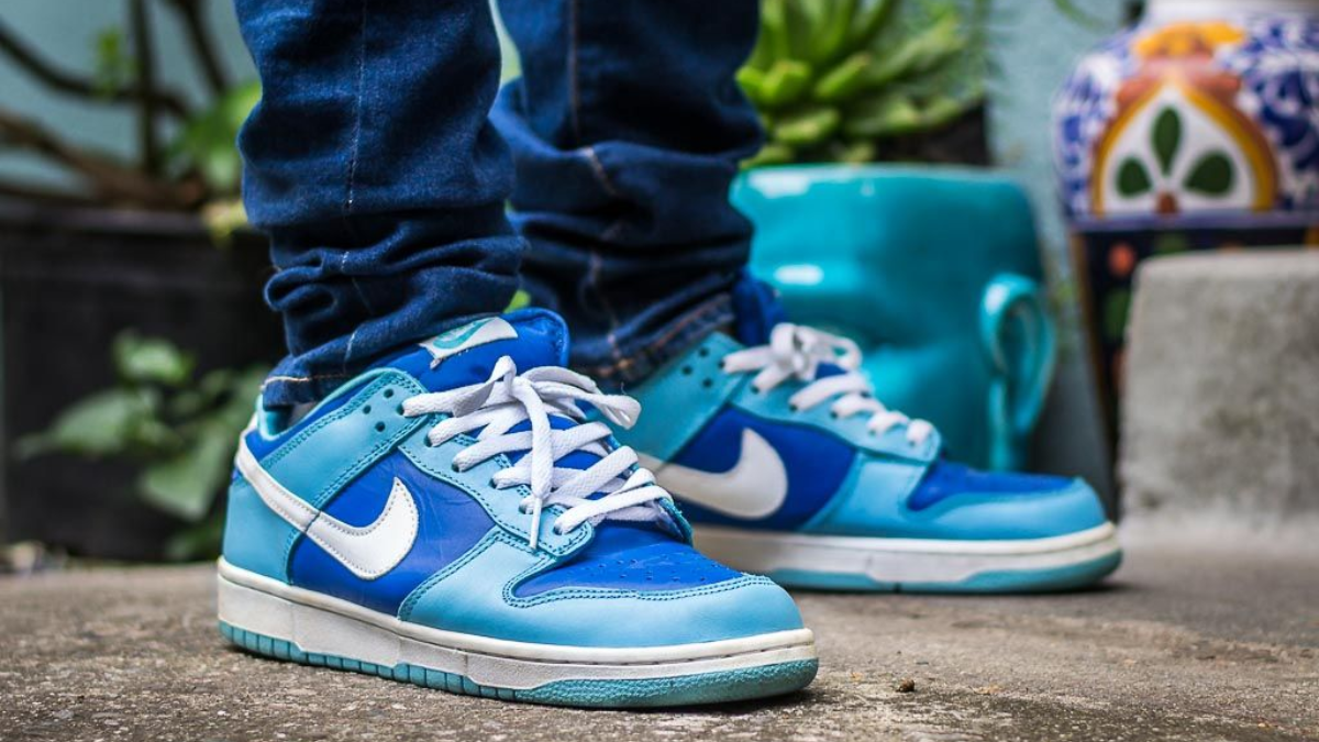 Hinh anh 20: Nike Dunk va Nike SB Dunk duoc hinh thanh va phat trien nhu the nao?