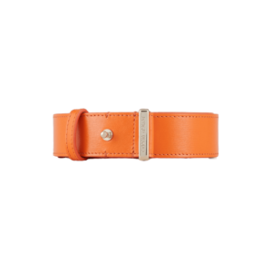 Thắt Lưng Giorgio Armani Palmellato 'Orange' Y1I255YTF4A180388