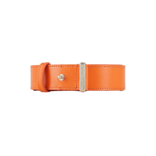 Thắt Lưng Giorgio Armani Palmellato 'Orange' Y1I255YTF4A180388