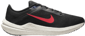 Giay Nike Winflo 10 'Black' DV4022-002