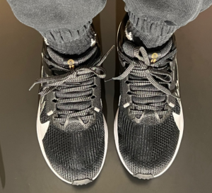 Giay Nike Pegasus 40 Premum 'Black White Grey' FB7703-001