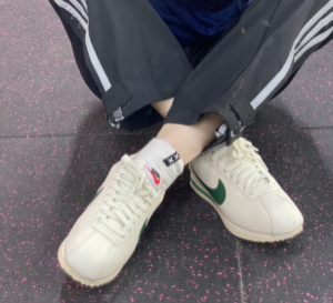 Giay Nike Cortez 'Sail Gorge Green' DN1791-101