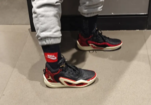 Giay Nike Jordan Tatum 1 'Zoo' DX5572-001