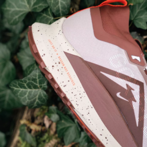 Giay Nike Pegasus Trail 4 Gore-tex 'Diffused Taupe' DJ7926-200