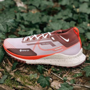 Giay Nike Pegasus Trail 4 Gore-tex 'Diffused Taupe' DJ7926-200